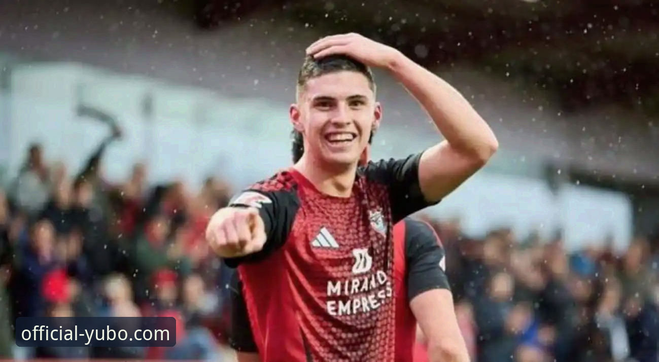 资深分析师解读：从帕尼切利伤退看顶级赛事背后的数据与不确定性